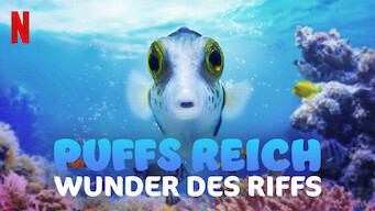 Puffs Reich: Wunder des Riffs (2021)