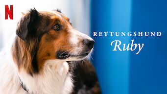 Rettungshund Ruby (2022)