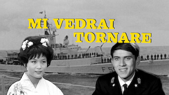 Mi vedrai tornare (1966)