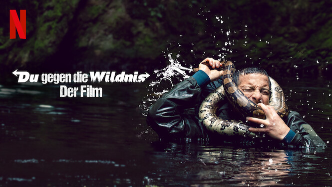 Du gegen die Wildnis – Der Film