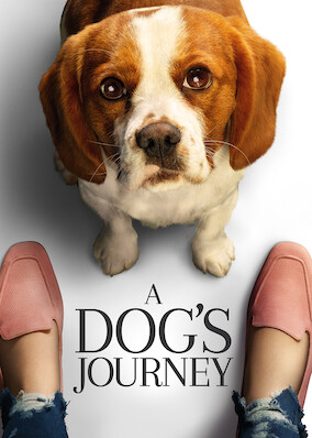 A Dog's Journey